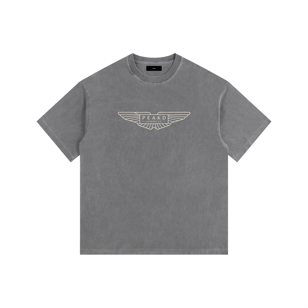 Aston Martin Vintage Washed Oversized Cotton T-Shirt