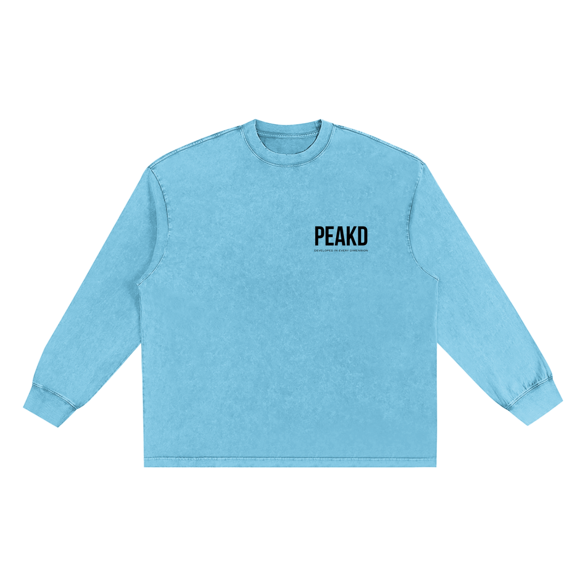 DIED Snow Washed Frayed Edge T-Shirt