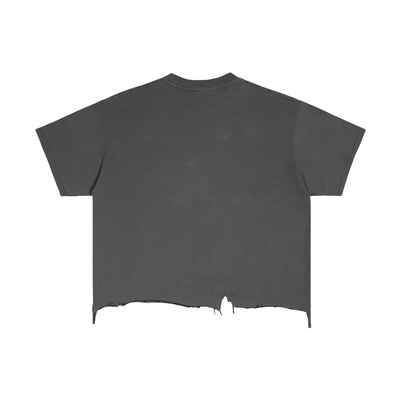 Vintage PEADK Distressed Cropped Tee
