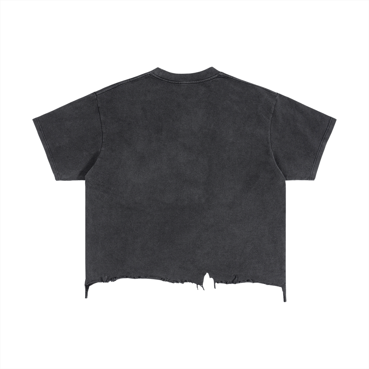 CORE Distressed Cropped Tee