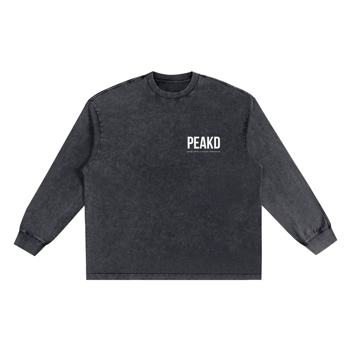 DIED Snow Washed Frayed Edge T-Shirt